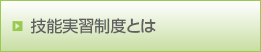 技能実習制度とは