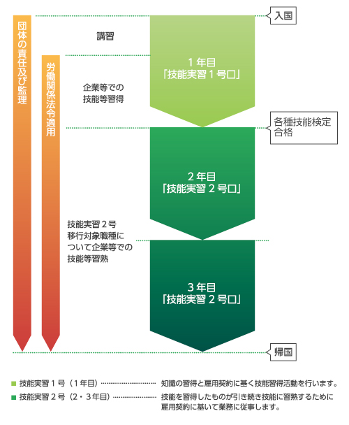 団体管理型受入